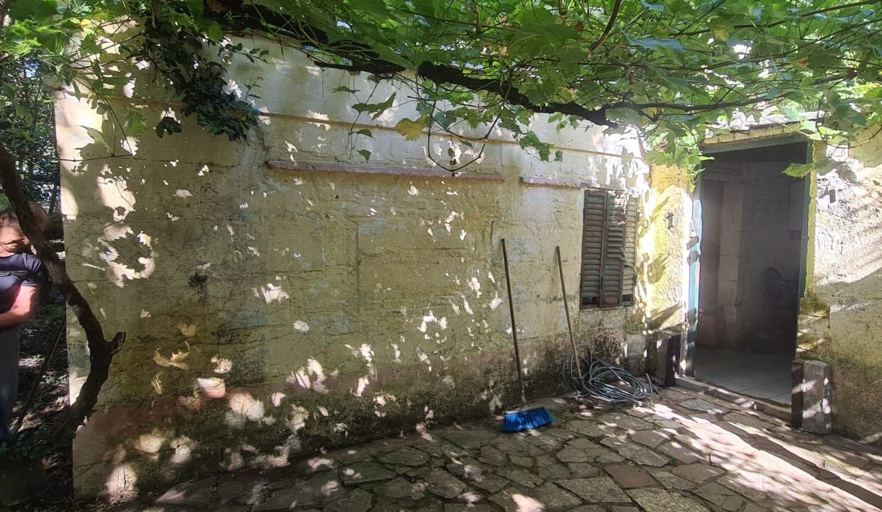 63afc38d-0325-4952-adf2-dd6310fe28d3